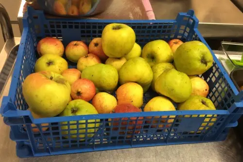 Food waste